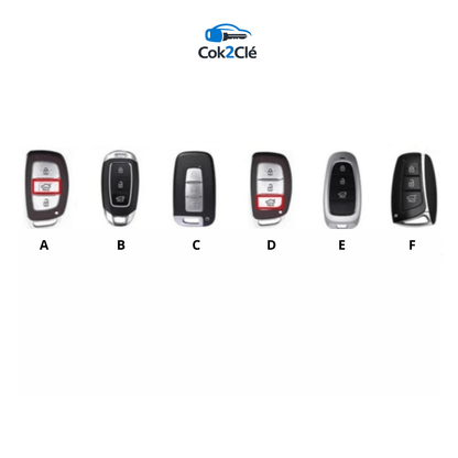 COK2 Tigre Cartoon Hyundai